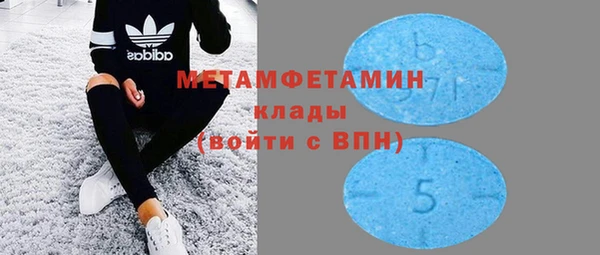 хмурый Аркадак