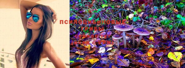 PSILOCYBIN Арсеньев
