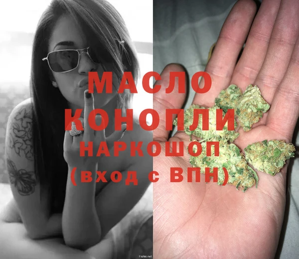 хмурый Аркадак