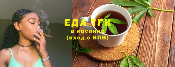 хмурый Аркадак