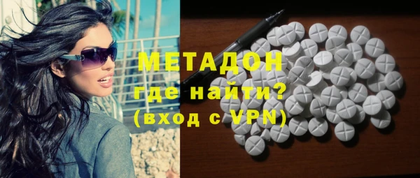 хмурый Аркадак